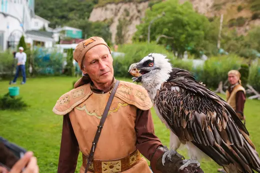 🦅Falconry show in the mountains of Almaty