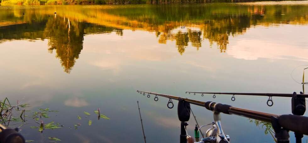 Almaty - Ethno-Aul Alatau - Fishing estate - Pervomayskie ponds