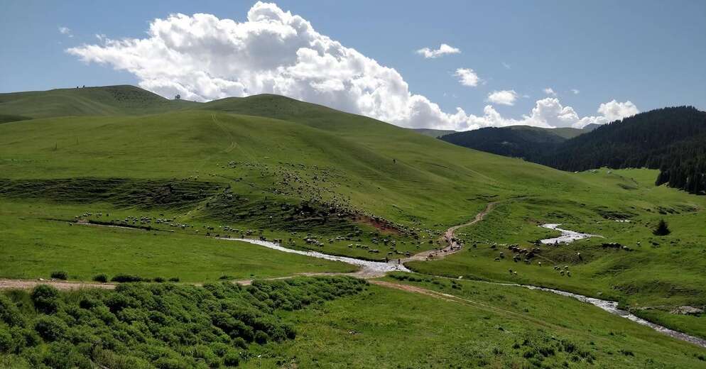Almaty – Assy Plateau – Issyk lake