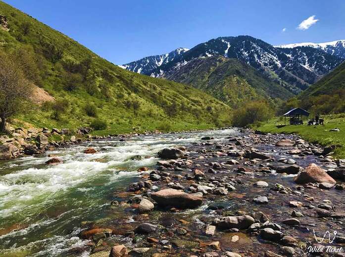 Turgens: Hidden Trails